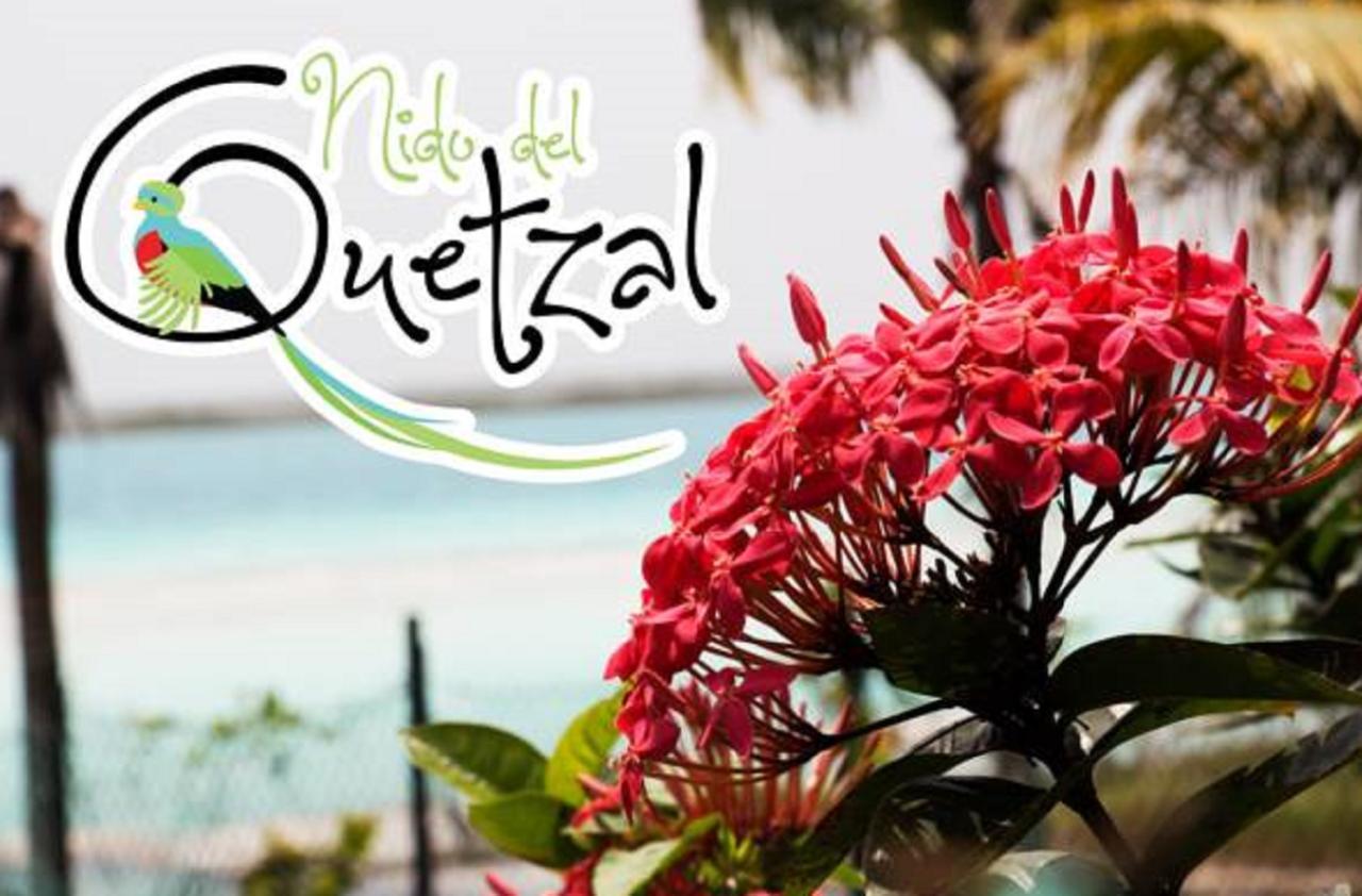 فندق باكالارفي  Nido Del Quetzal المظهر الخارجي الصورة